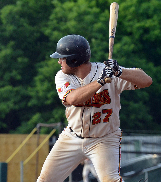 Senator Mike Nozzolio Community Baseball Night in Geneva