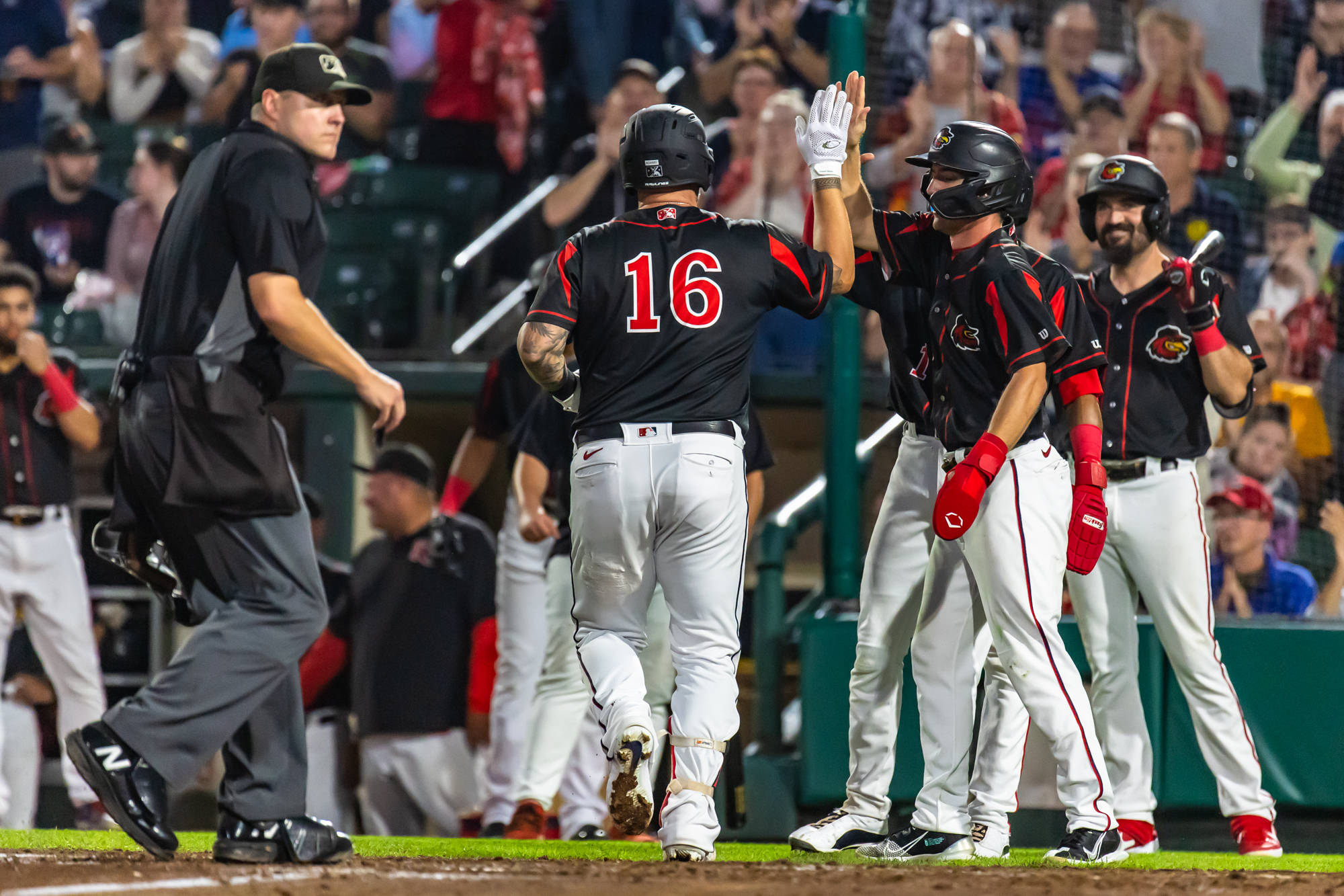 Rochester Red Wings: Matt Adams balancing MLB journey with AAA leadership