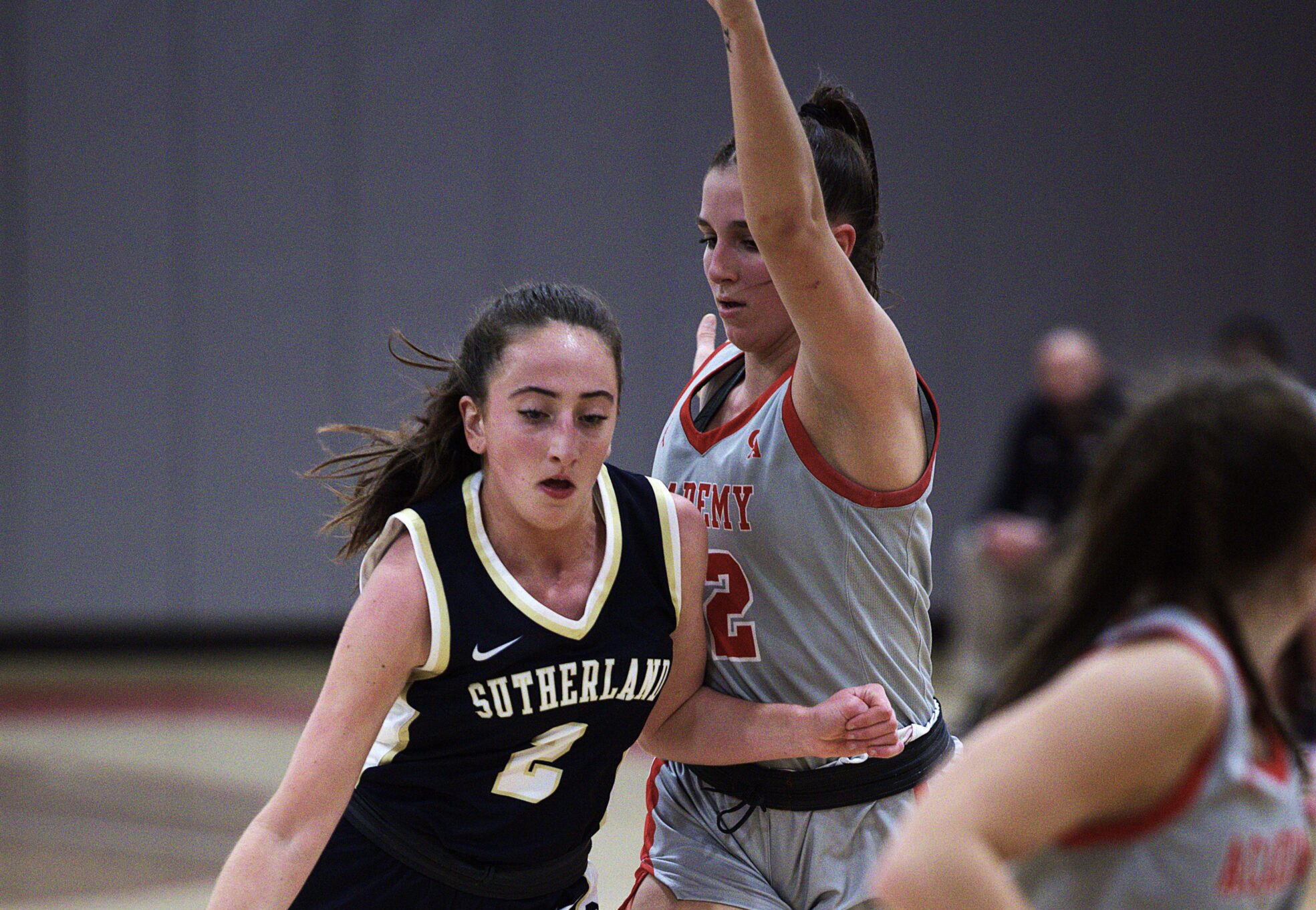 West Herr Thursday Girls' Basketball Wrap: Childs leads Brockport with ...