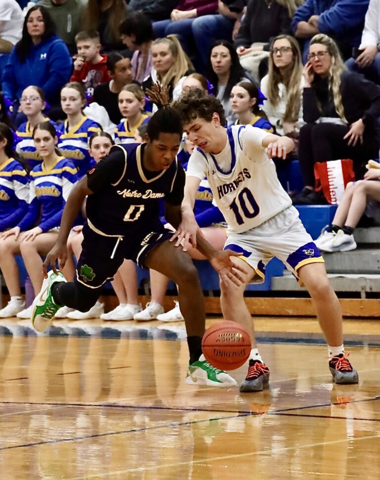 Delisanti Wealth Management Wednesday Boys' Basketball Wrap: Webster's ...