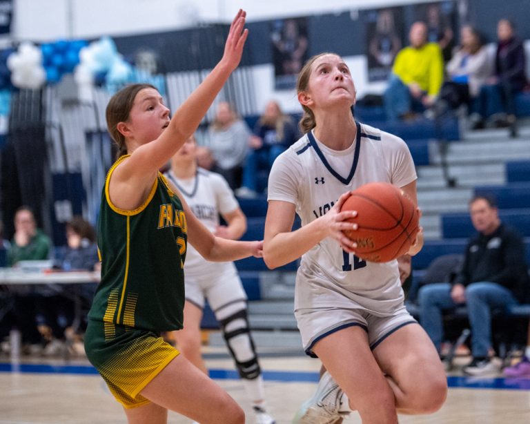 Wednesday Girls' Basketball Wrap: Canisteo-Greenwood clinches Steuben ...